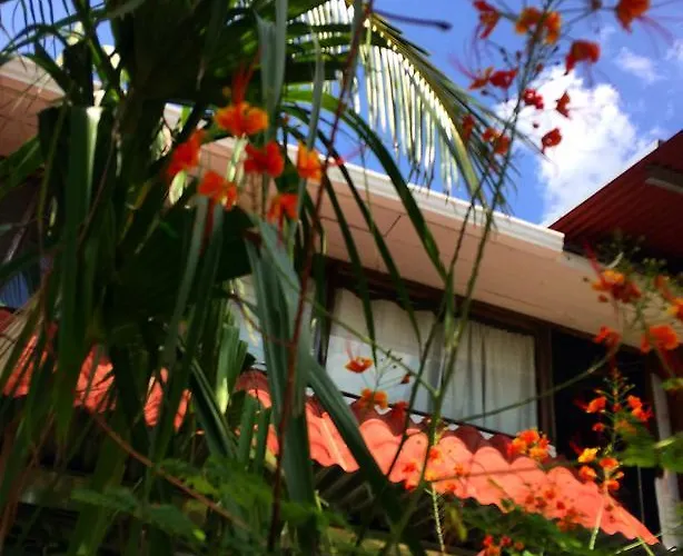 Flamingo Cabinas Playa Flamingo