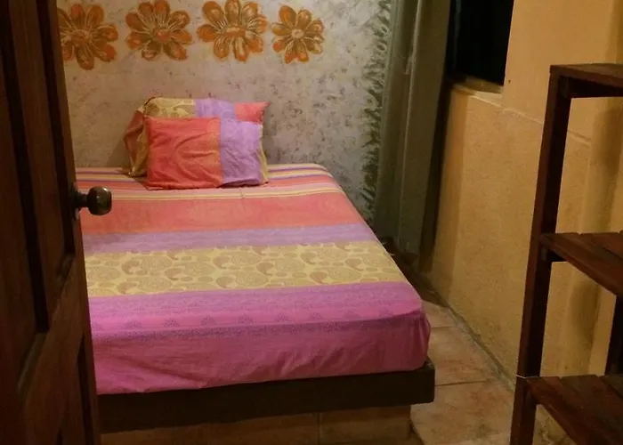 Flamingo Cabinas 3*